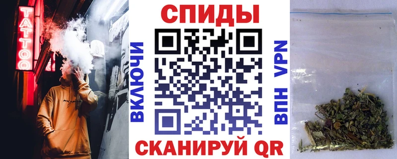 как найти Каменногорск Бутират буратино