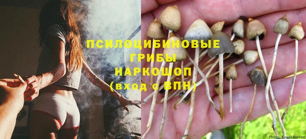 прущие крисы Аша