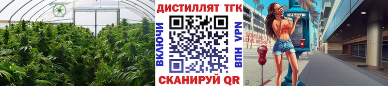 наркотики  гидра как войти  ТГК вейп с тгк  Каменногорск 